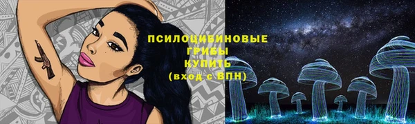 мет Белокуриха