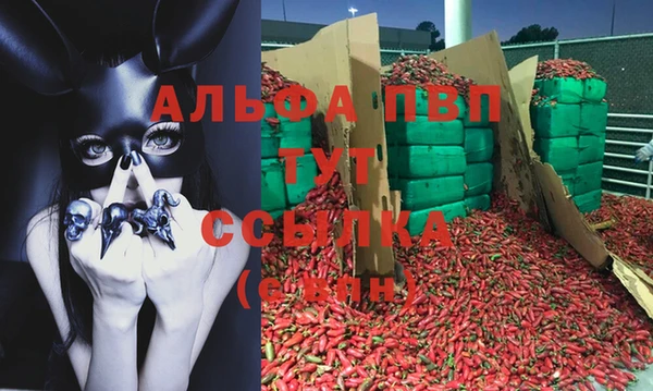 мет Белокуриха