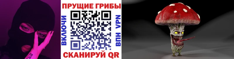 Галлюциногенные грибы GOLDEN TEACHER  Краснокаменск 